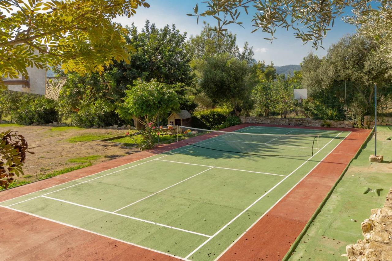 Es Serval :) Relax And Sports الكوذيا المظهر الخارجي الصورة
